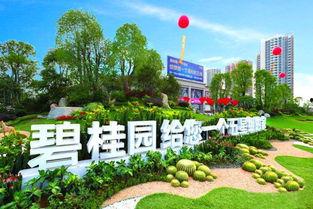 龙南碧桂园爆料最新消息,揭秘项目最新进展与亮点